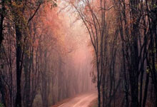 开云体育APP下载-塔斯马尼亚联备战细节曝光，冲击世俱杯全力以赴