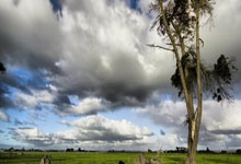 开云体育入口-尼克斯客场逆袭小牛，重燃胜利信心