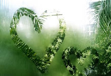 开云体育平台APP-塔斯马尼亚联赛前体能检测通过，争冠筹备顺利