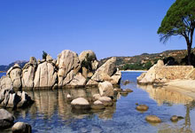 开云体育官网-当球网在120km时速下呻吟：乌索用物理法则改写亚冠剧本