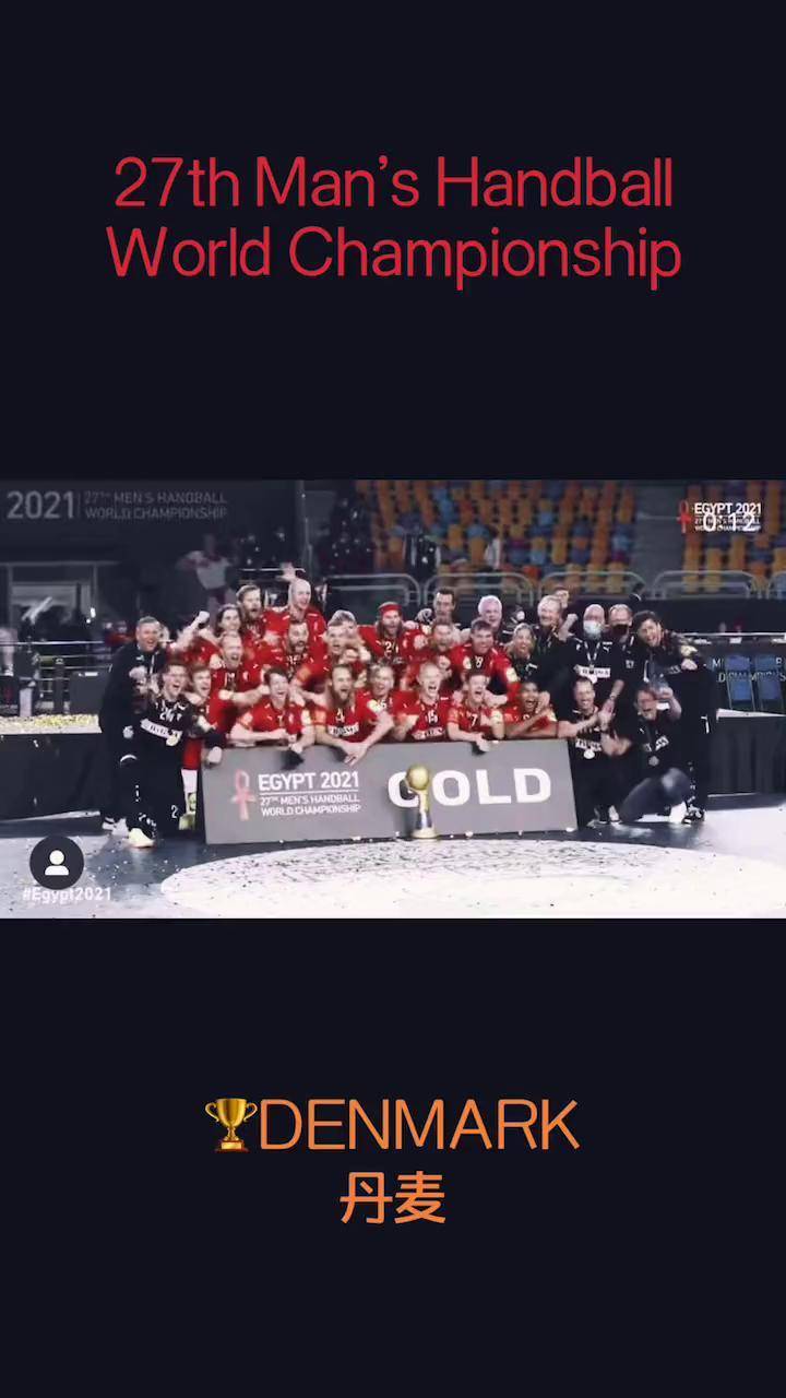 丹麦队在比赛中展示出色技巧