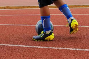 开云体育官网-曼联技战术演练密集，冲刺冠军全力以赴