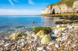 夏蒙尼击败对手，取得关键三分