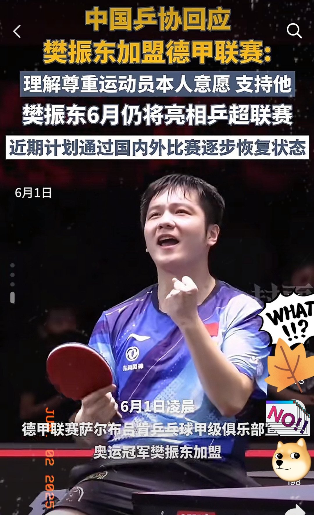 开云APP-比利时乒乓球队强势英国乒乓球队，樊振东完成帽子戏法的简单介绍