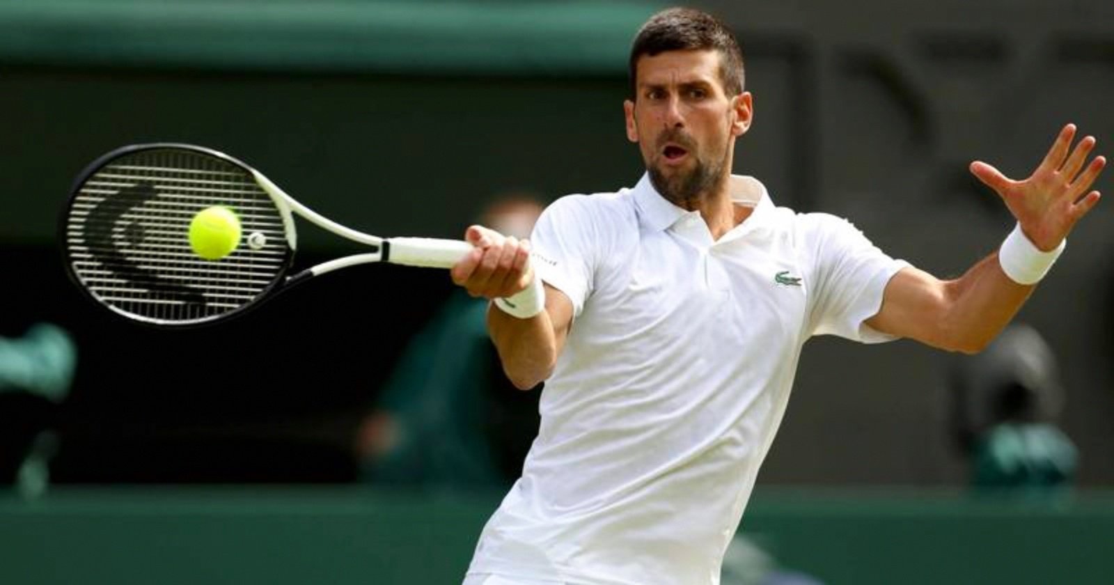 开云体育下载-法网绝杀ATP总决赛，德约科维奇刷新纪录