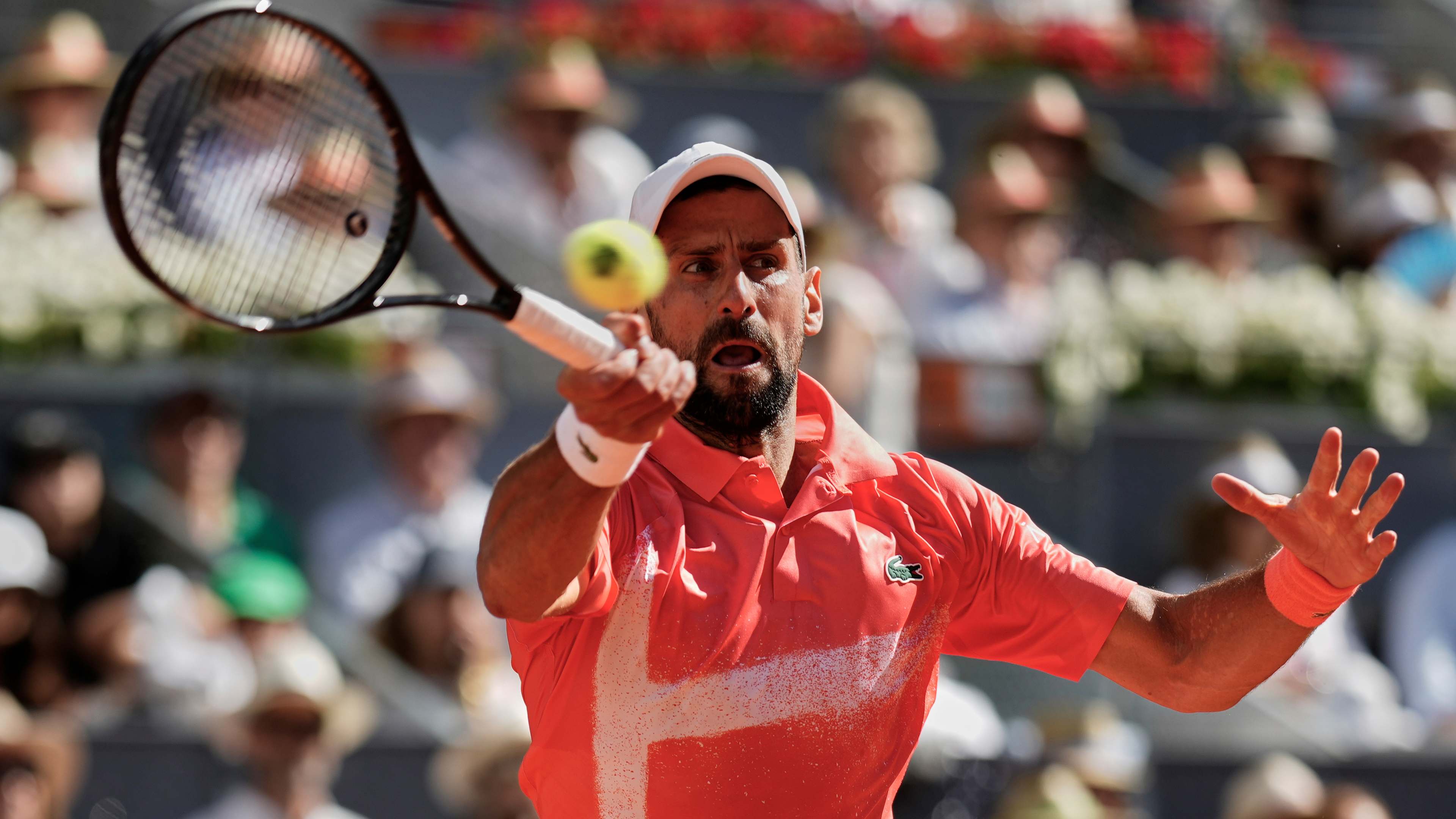 法网绝杀ATP总决赛,德约科维奇刷新纪录 法网绝杀ATP总决赛,德约科维奇刷新纪录