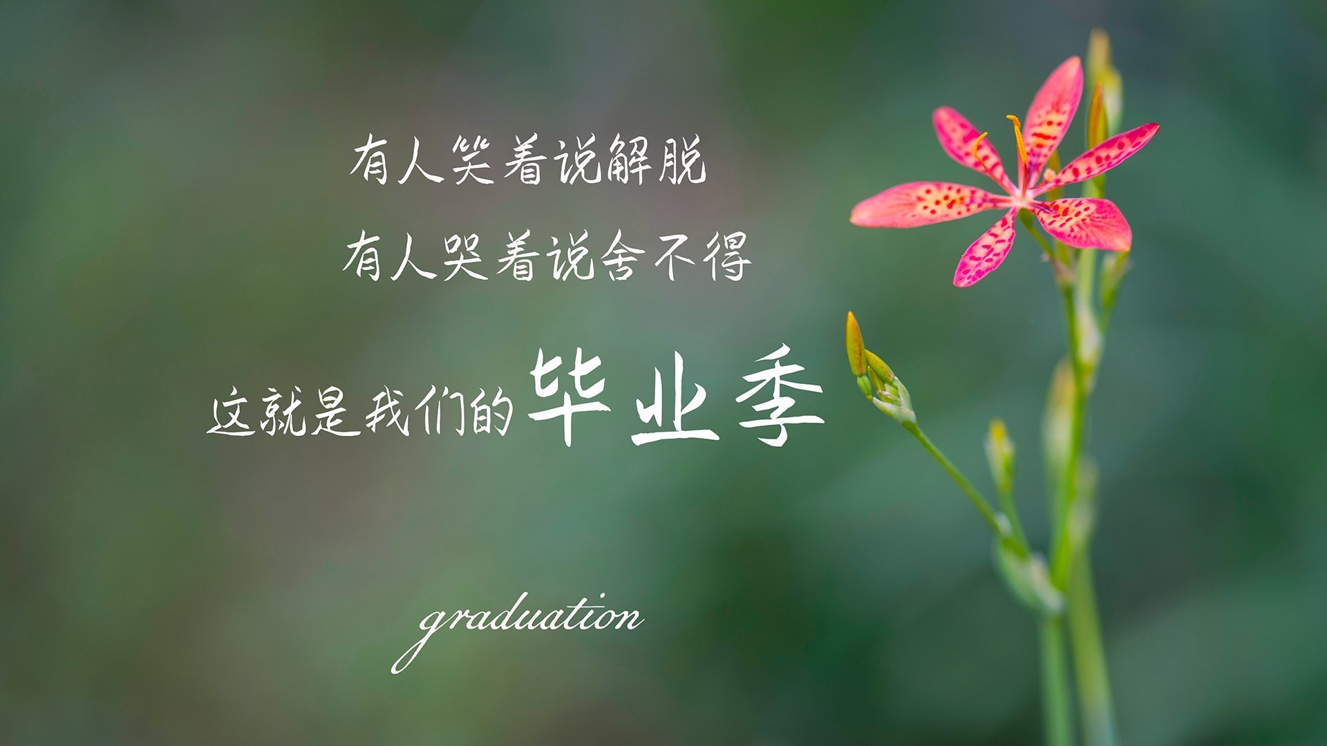 开云体育入口-无声引擎，托尼如何用无形气流引领车队驶向年度冠军