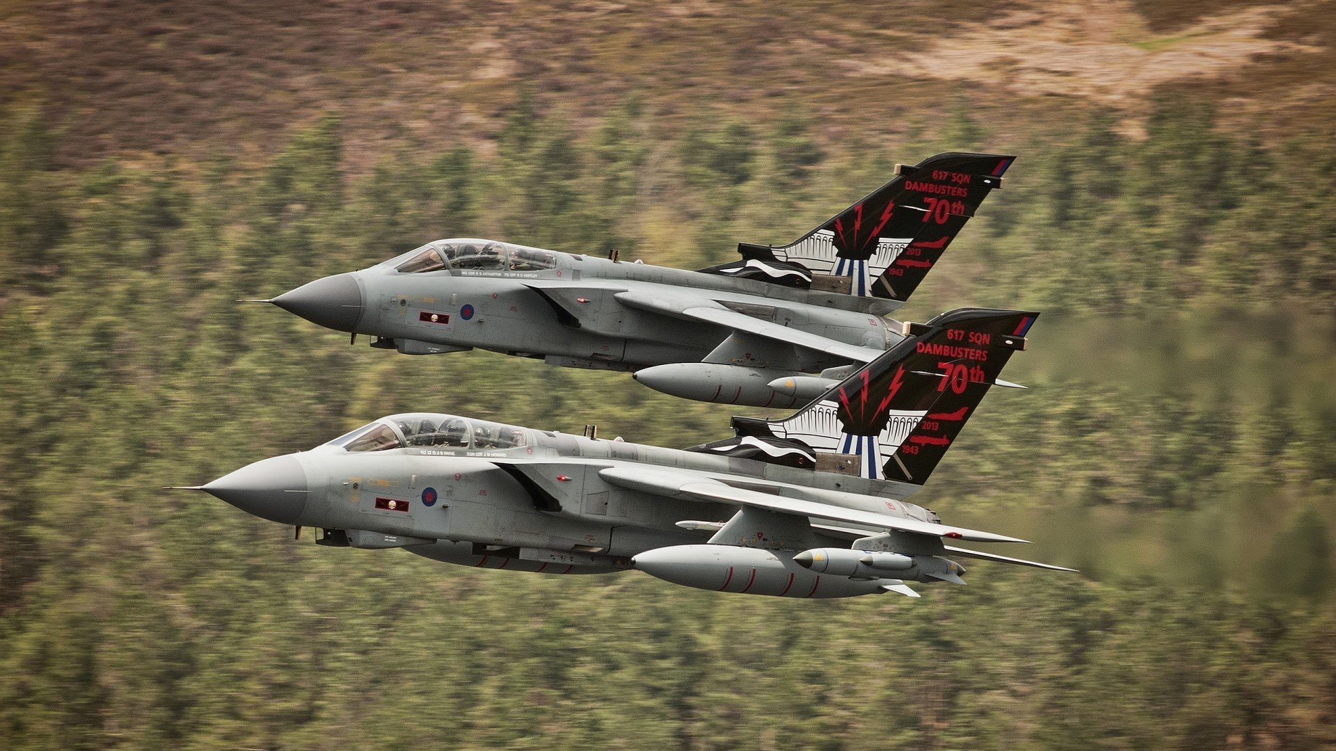 开云体育-浙江队爆冷击败森林狼，班凯罗冠军级表现独木难支