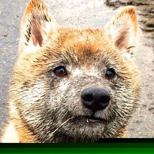 开云体育在线-个人英雄的史诗与团队荣耀的黄昏，米切尔里程碑背后的辽篮悲歌