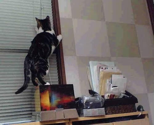 奇才步行者对攻大战，新库里单核撕裂钢铁防线