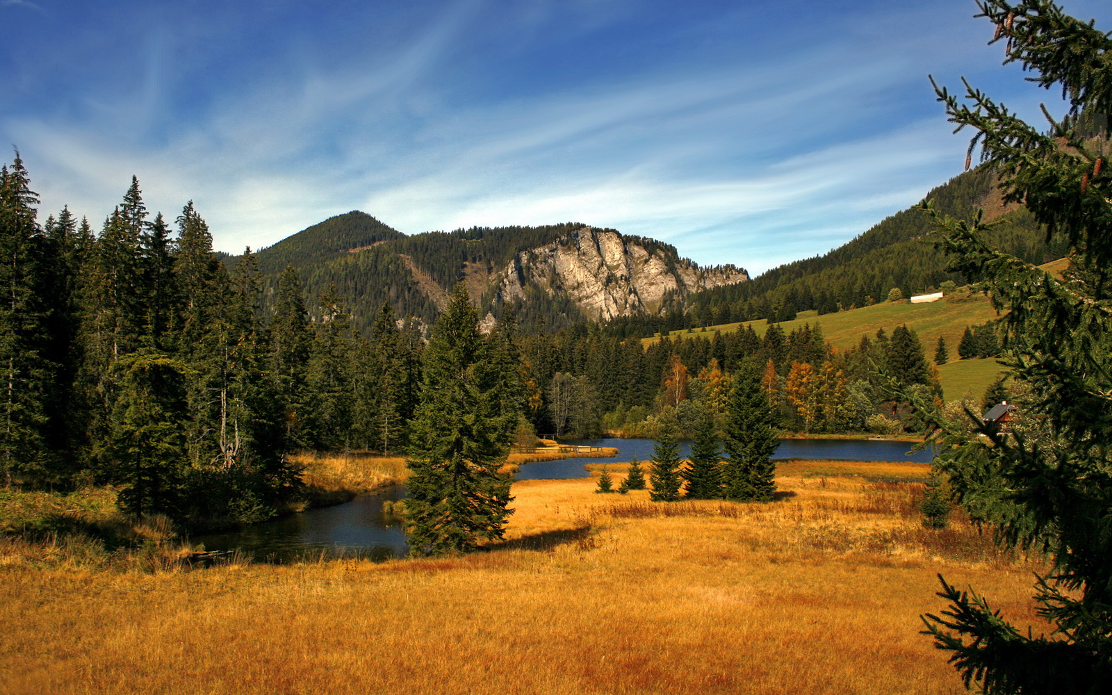 开云体育官方网站-铁腰化身利刃，当楚阿梅尼在进攻端无人可挡，足球世界看见了新的可能