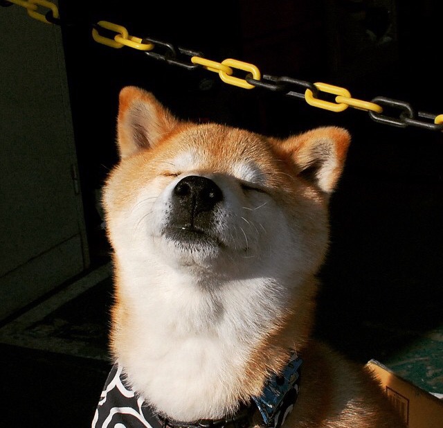 绝境淬火，德国战车的抢七意志