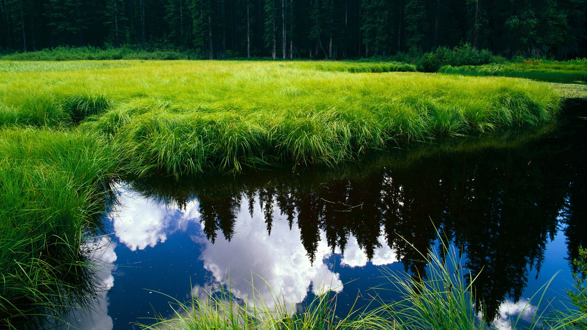 开云体育官网-哈登压哨绝杀！开拓者国际邀请赛险胜深圳队