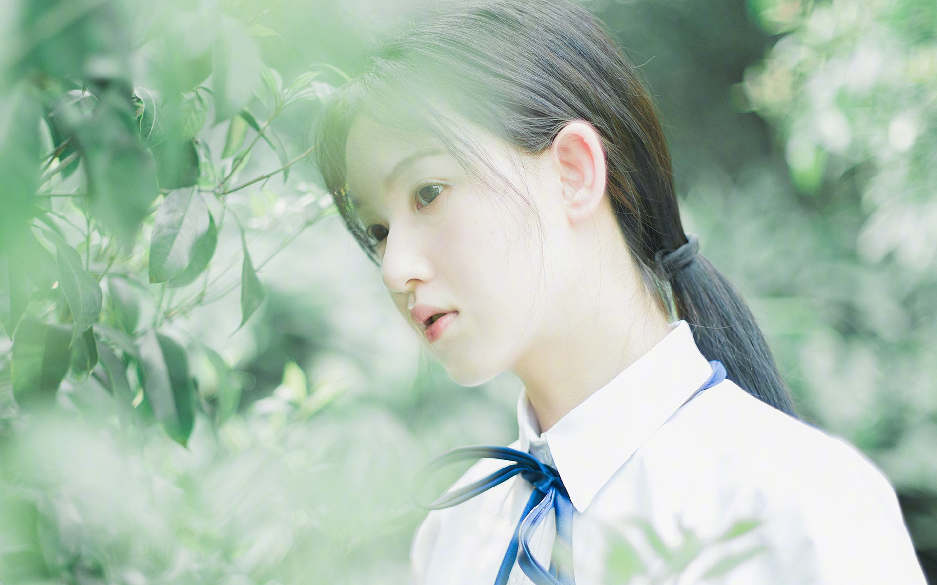 足球与命运，当几内亚在西非西决中力压塞内加尔