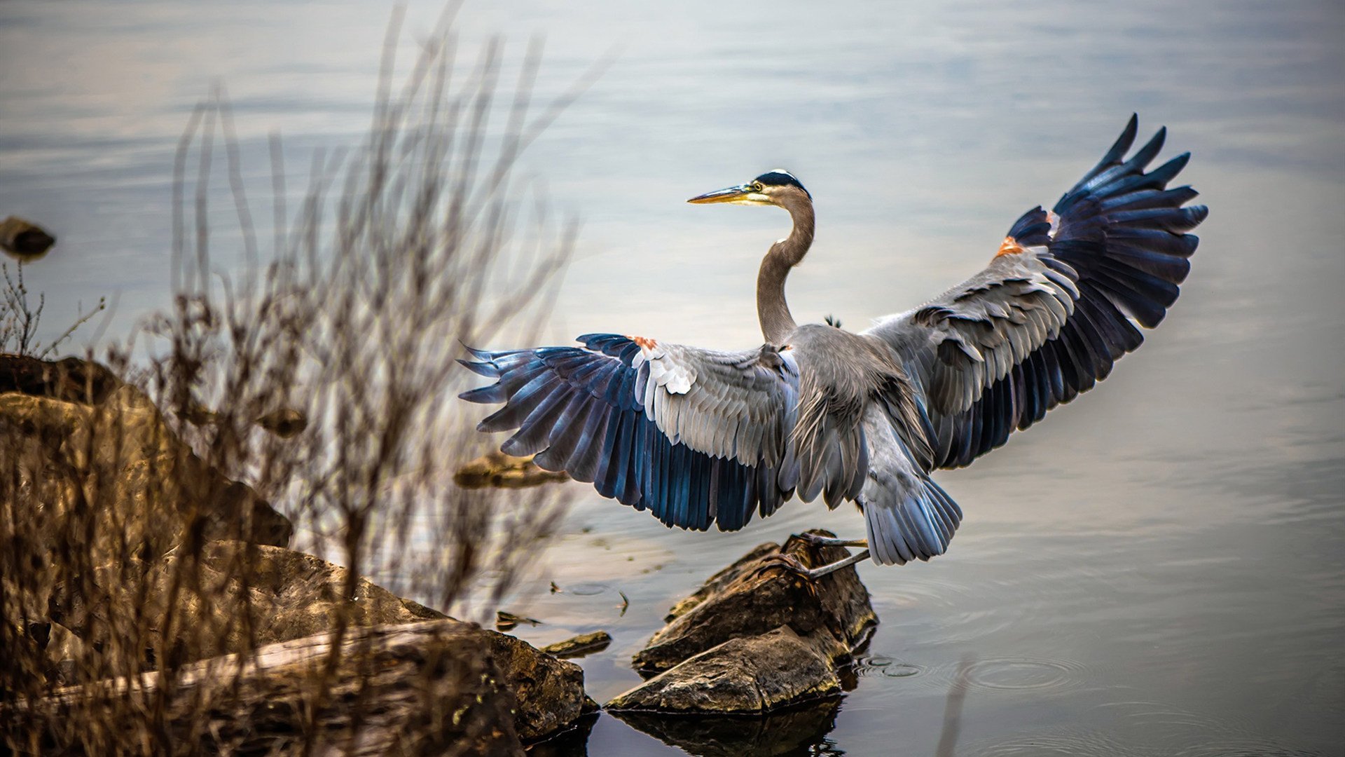 西甲国家德比之夜,恩比德的跨界统治