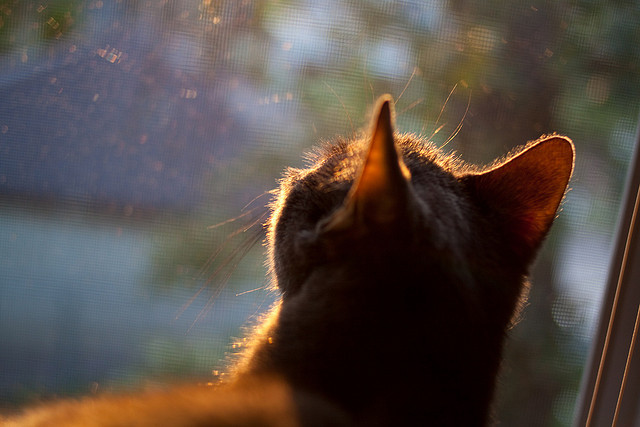 银箭与战车的宿命对决，穆勒于无声处听惊雷