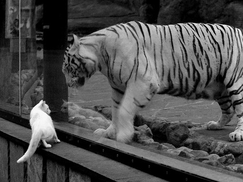 黄潜风暴席卷冰岛，孔德于西决生死战上演王者独舞