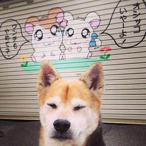 黄蜂防线崩盘夜，武切维奇末节独舞，当季后赛进入接管时刻