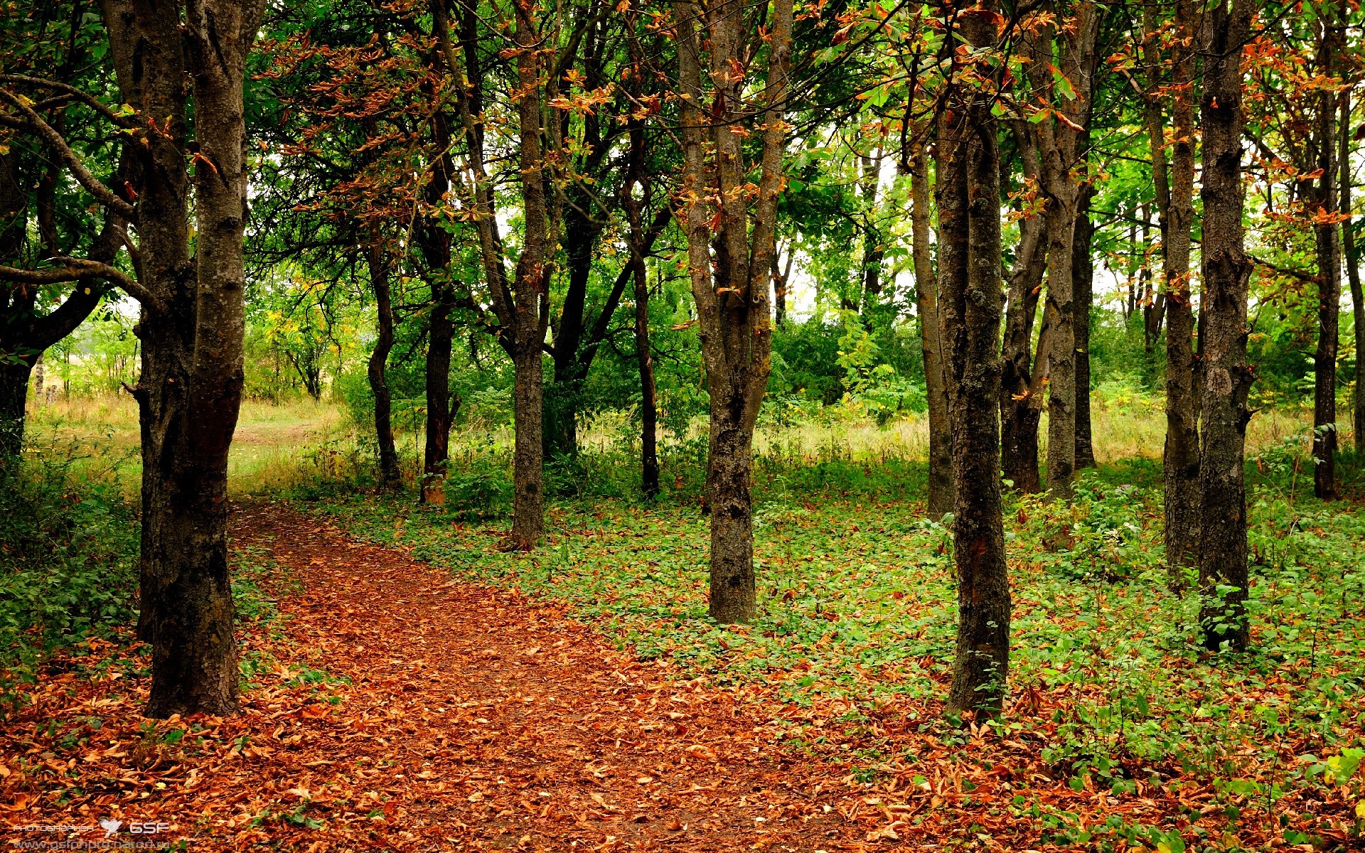 克罗地亚生死战逆转沙特，努涅斯一击制胜铸就经典