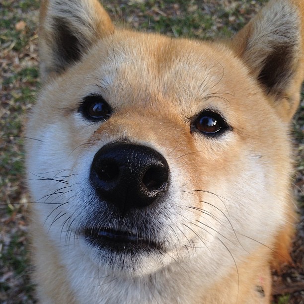 开云体育在线-巴雷拉两记绝杀，南美智慧终结非洲铁骑的悲壮远征
