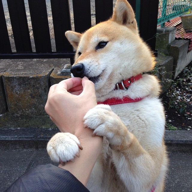 开云体育官方网站-夜战巴林，爱德华兹的绝对统治—F1新赛季揭幕战点燃战火